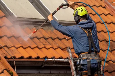 Démoussage et hydrofuge de toiture à Schleithal